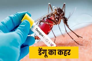 dengue-patients-number-increasing-in-uttarakhand