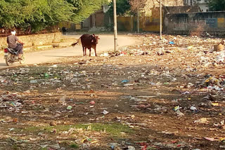 बजबजाती गंदगी