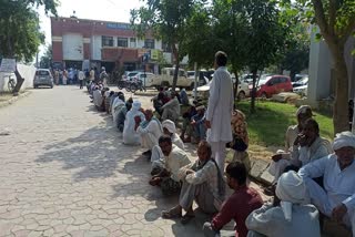 Dap Fertilizer Shortage In Charkhi Dadri