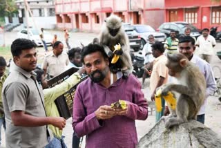 Minister sriramulu Time Spends With monkeys