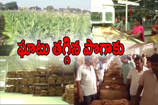 గుంటూరు రైతులకు పొగాకు సమస్య తీరట్లే...