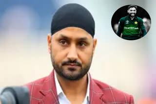 harbhajan singh mohammad amir involved in war of words after indias loss to pakistan