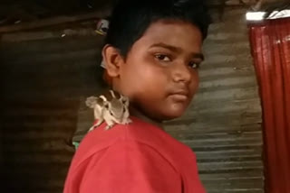 Squirrel lives gleefully with a family in Telangana's Suryapet