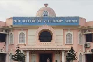Concern of medical students at NTR Veterinary College