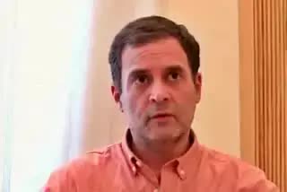 राहुल