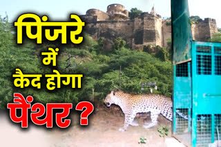 Why is the forest department unable to catch it in the cage