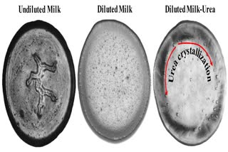 track adulterants in milk