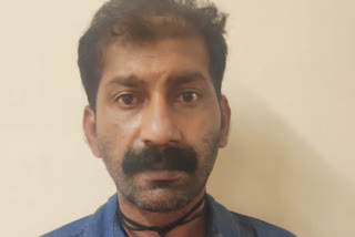 #pta arrest  chain snatching  പത്തനംതിട്ട  വീട്ടമ്മയുടെ മാലപൊട്ടിച്ച കേസ്  മാല പൊട്ടിച്ച കേസ്  gold chain theft  thief