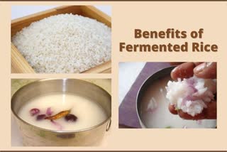 benefits of rice, Varieties Of Rice, health, Indian meal, how is rice good for health, what are the benefits of rice, what is fermented rice, what are the benefits of fermented rice, how is fermented rice good for health, health benefits of rice, health benefits of fermented rice, can diabetics eat rice, can diabetics eat fermented rice, food, nutrition, nutrition tips