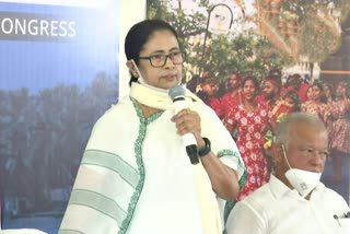 mamata