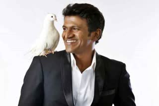 Sandalwood Power star Puneet Rajkumar  Profile