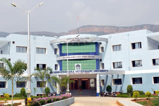 sri venkateswara university tirupati