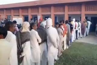 Ellenabad by-election