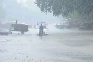 Kerala rain updates  heavy rain kerala  സംസ്ഥാനത്ത് മഴ കനക്കും  സംസ്ഥാനത്ത് മഴ തുടരും  മഴ അപ്‌ഡേറ്റ്  rain updates  kerala news  yellow alert in kerala  yellow alert in 12 districts