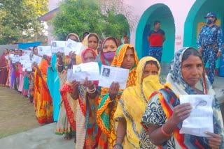 voting for by elections