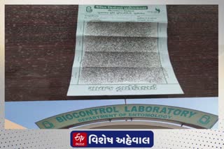 Trichocard આપશે પાકમાં જીવાતો સામે રક્ષણ, જૂનાગઢ જૈવિક પ્રયોગશાળાની શોધ