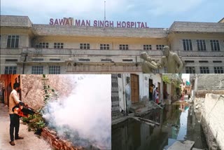 jaipur news, dengue in Jaipur
