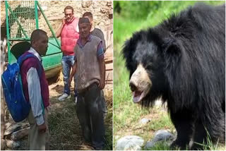 rudraprayag bear terror