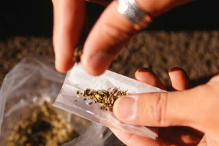 telugu-state-governments-worried-about-ganja-smuggling