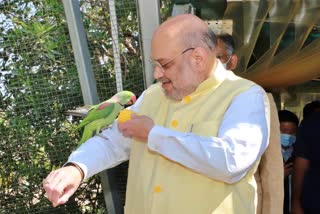 Amit Shah surprise visit to Jungle Safari park at kevadiya