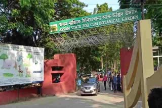 black-market-running-in-guwahati-zoo-in-the-name-of-online-ticket