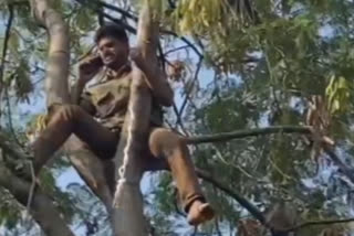 Msrtc Employee attempt to suicide in kalamb city