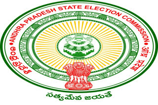 AP Local Body Elections