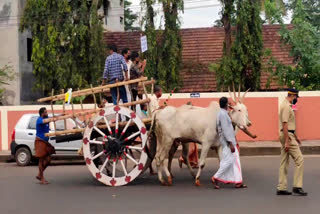 റോഡ് ടാറിങ് നടത്തണമെന്നാവശ്യം  കേരളപ്പിറവി ദിനത്തിൽ കാളവണ്ടി പ്രതിഷേധം  കണ്ണൂരിൽ കാളവണ്ടി പ്രതിഷേധം  റോഡ് ടാറിങ് നടത്തണമെന്നാവശ്യം  ടാറിങ് നടത്തണമെന്നാവശ്യം  കാളവണ്ടി പ്രതിഷേധം  Bullock cart protest news  Bullock cart protest  road tarring  road tarring kannur  Bullock protest