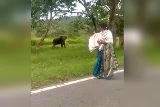 woman-standing-in-front-of-elephant-in-bandipur-forest