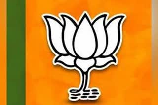 bjp-mps-reaction-on-by-election-win