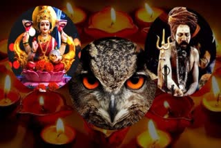 Owls sacrificial by tantriks on Diwali