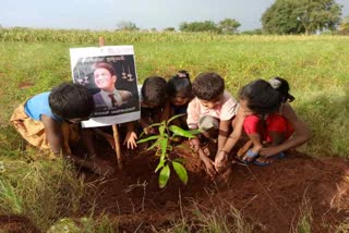 children planting trees