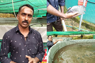 വിപണി കണ്ടെത്താനാകാതെ മത്സ്യകർഷകർ  kottayam fish farmers in crisis  സബ്‌സിഡിക്കായി അമിത വില നൽകി മത്സ്യങ്ങൾ വാങ്ങി  വിപണി കണ്ടെത്താനാകാതെ മത്സ്യകർഷകർ  മത്സ്യകർഷകർ  മത്സ്യകർഷകർ പ്രതിസന്ധിയിൽ  kottayam fish farmers  കോട്ടയം മത്സ്യകർഷകർ  ഫിഷറീസ് വകുപ്പ്