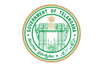 ts logo