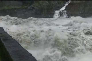 AJYCP reaction on subansiri dam