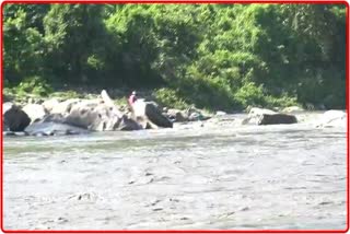 fishes-are-dying-in-kameng-river-in-arunachal