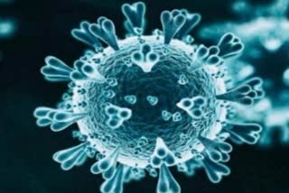 Novel antibody reduces severity of coronavirus