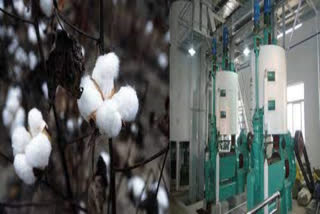 cotton seed refinery