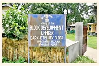 Five employees of Barkhetri development sector discharged from their jobs