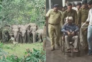 Superintendent of Police and his wife injured in elephant attack