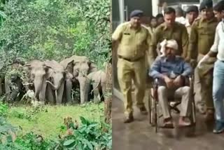 गौरेला पेंड्रा मरवाही के एसपी और उनकी पत्नी हाथी के हमले से घायल