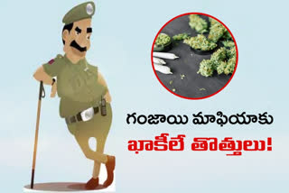 police act as ganja supplier's