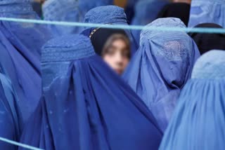 afghan girls sold by parents, உணவு பஞ்சம், ஆப்கானில் பஞ்சம், ஆப்கானில் உணவு பஞ்சம், மகள்களை விற்கும் பெற்றோர், food crisis, afghanistan news