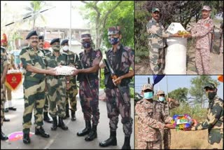 INDIAN ARMY AND PAKISTAN ARMY EXCHANGE SWEETS ON THE OCCASION OF DIWALI