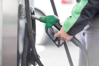 Petrol, diesel prices will increase again in coming months: Energy expert