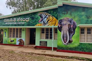 ಕಾಡಿನ‌ ಕಟ್ಟಡಗಳಲ್ಲಿ ಪ್ರಾಣಿ‌ಗಳ ಚಿತ್ತಾರ