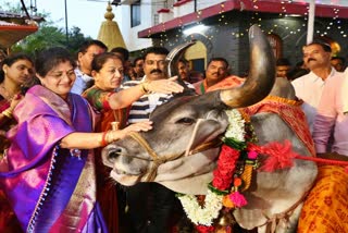 Minister shashikala jolle did go pooja