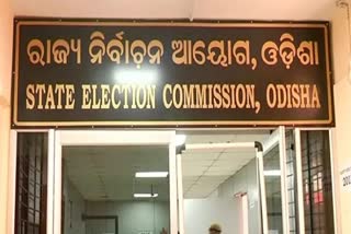 panchayat elections