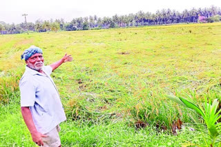 rains at east godavari