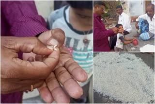 plastic mixed rice found in bagalkot